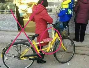 深圳共享单车爆料视频,一窥城市绿色出行背后的真相 第2张 深圳共享单车爆料视频,一窥城市绿色出行背后的真相 第2张