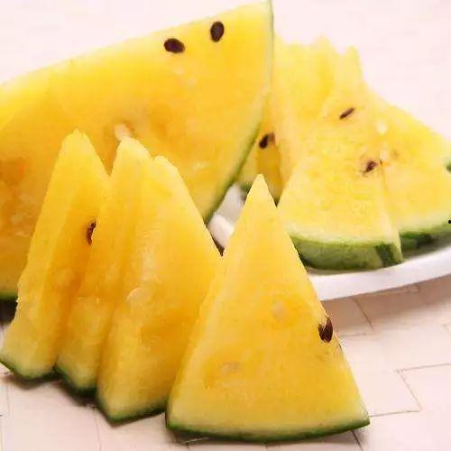 免费吃瓜群图什么,一场视觉盛宴背后的故事